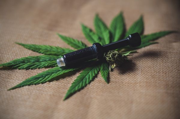 Zalety stosowania naturalnych suplementów na zdrowie Twojego psa