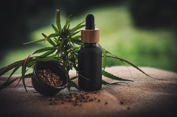 Zdrowe gotowanie z użyciem olejków CBD - przepisy i porady